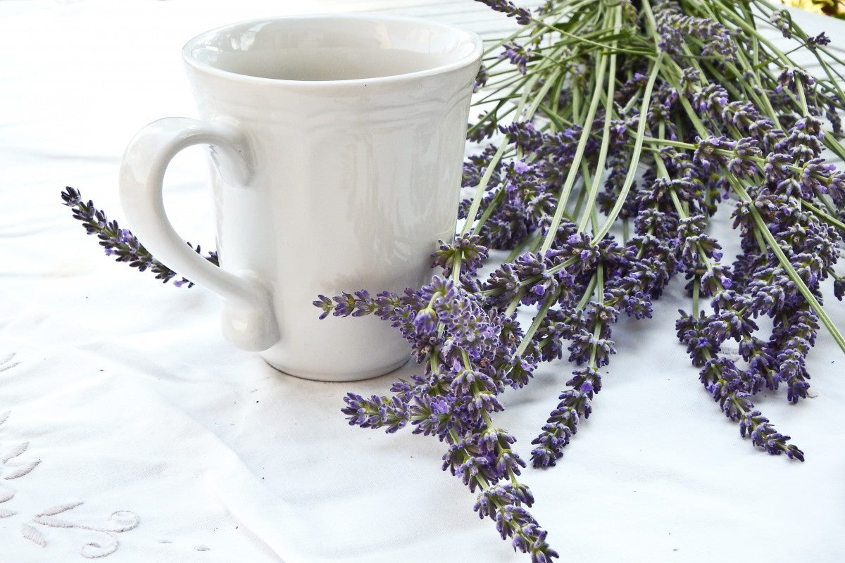 Herbal Medicine and Remedies icon