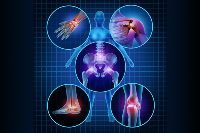 Holistic Approach to Chronic Illness icon