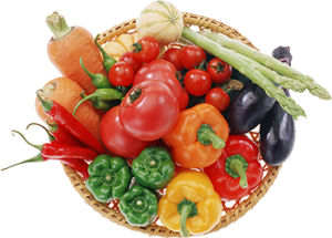 Nutrition and Diet